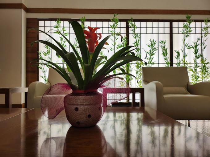 Hotel Luz Plaza São Paulo Zewnętrze zdjęcie